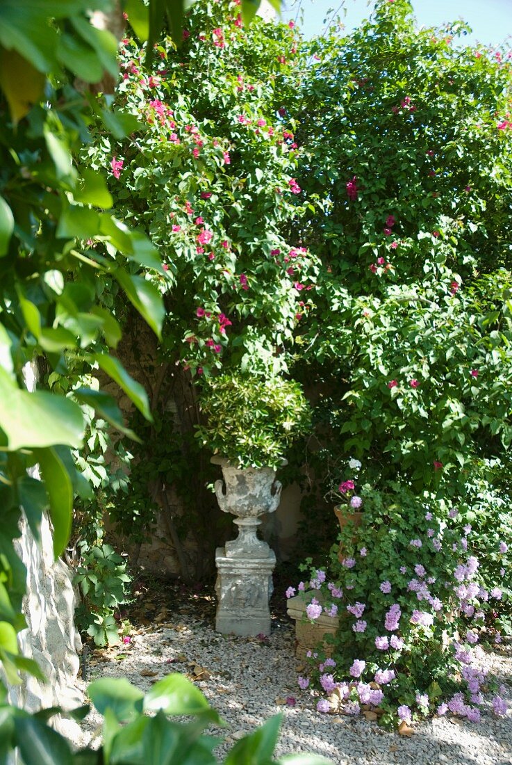 Mediterraner Garten mit blühenden Pflanzen