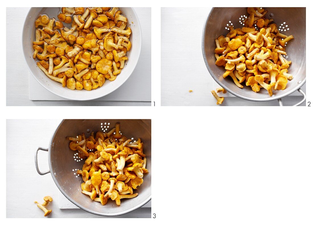 Chanterelle mushrooms being cleaned