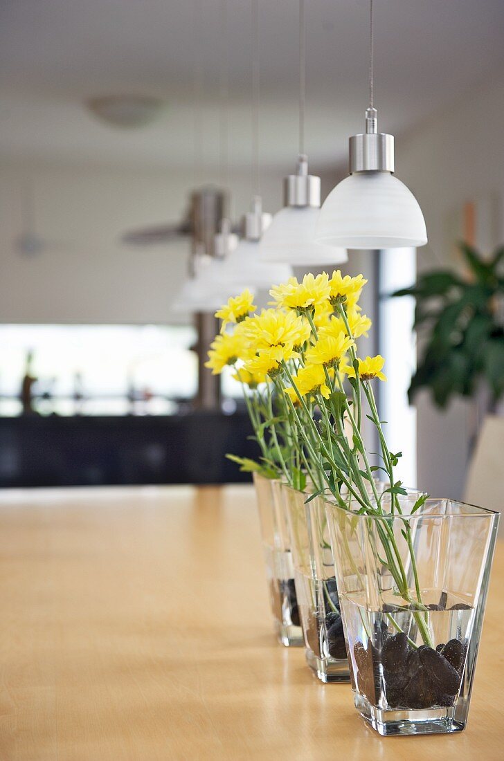 Row of yellow flowers in glass vases on wooden table below modern pendant lamps with small glass lampshades
