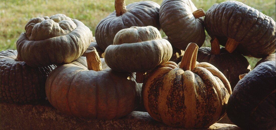 A selection of squash from Mantua