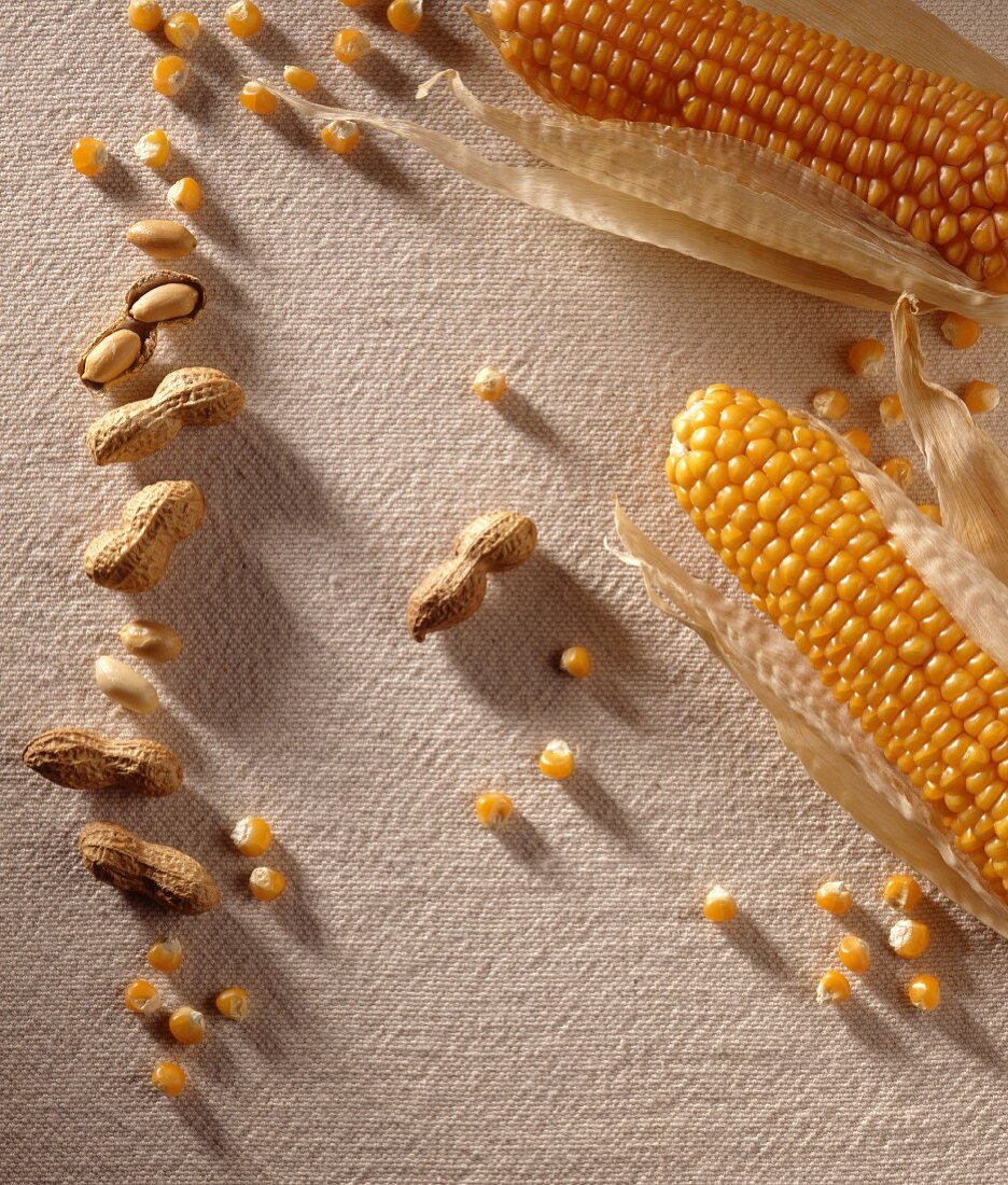Stillleben mit Mais und Erdnüssen