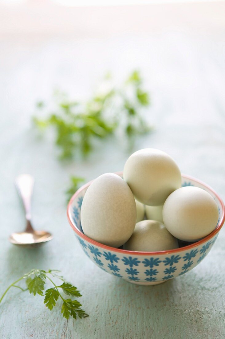 A bowl of fresh eggs