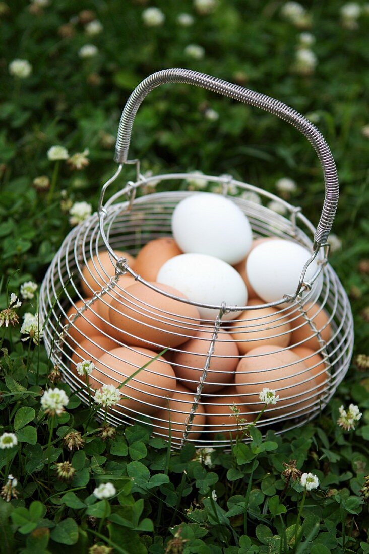Braune und weiße Eier in einem Drahtkorb im Freien