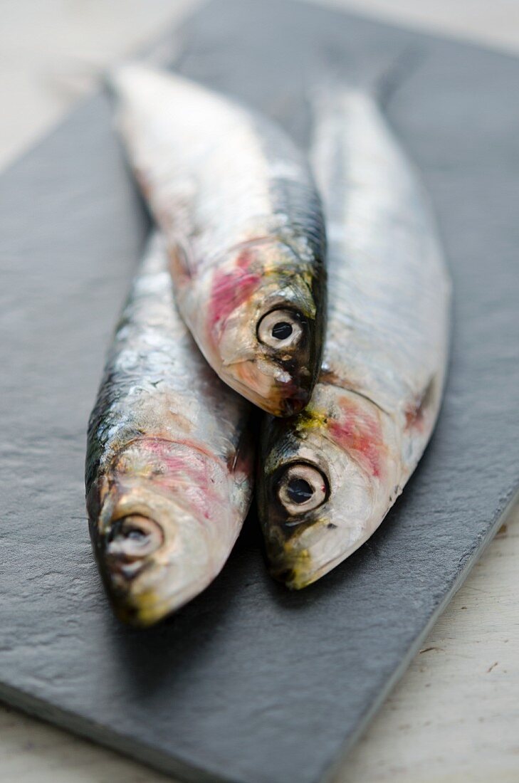 Three fresh sardines