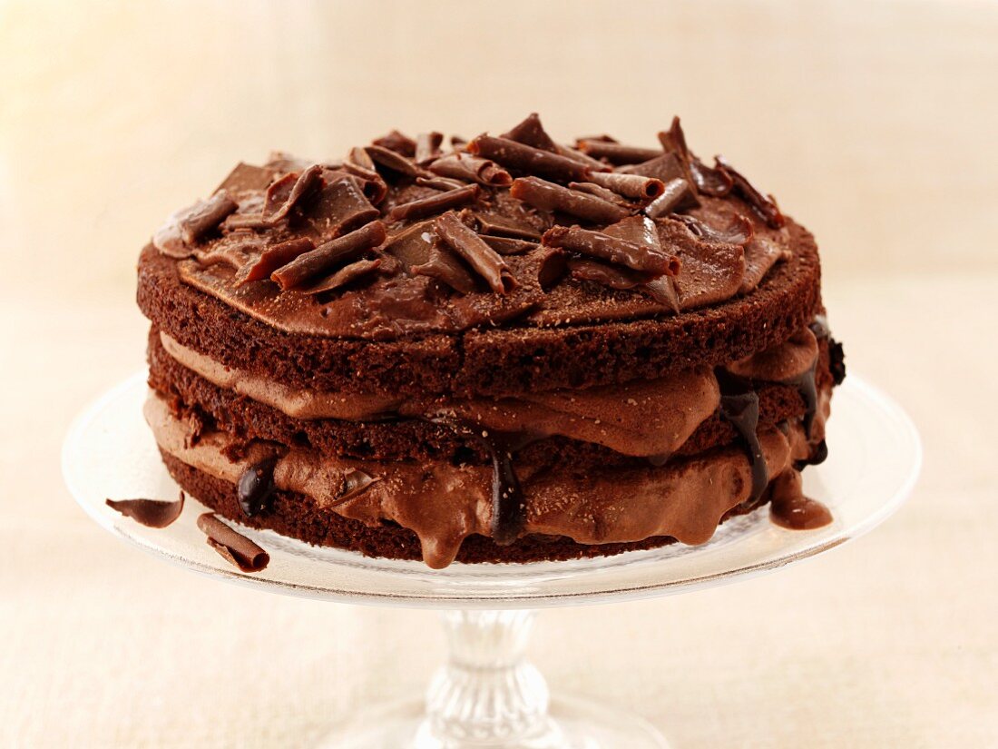 Chocolate cake with chocolate curls