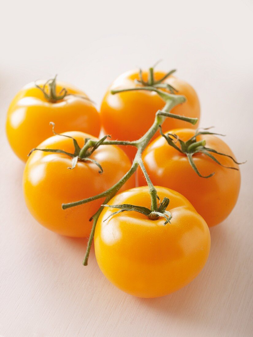 Gelbe Tomaten der Sorte Manyel