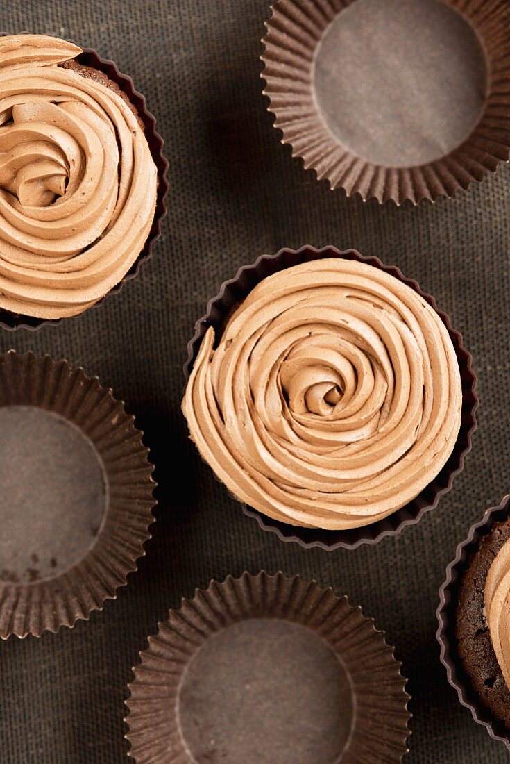 Chocolate cupcakes with coffee icing