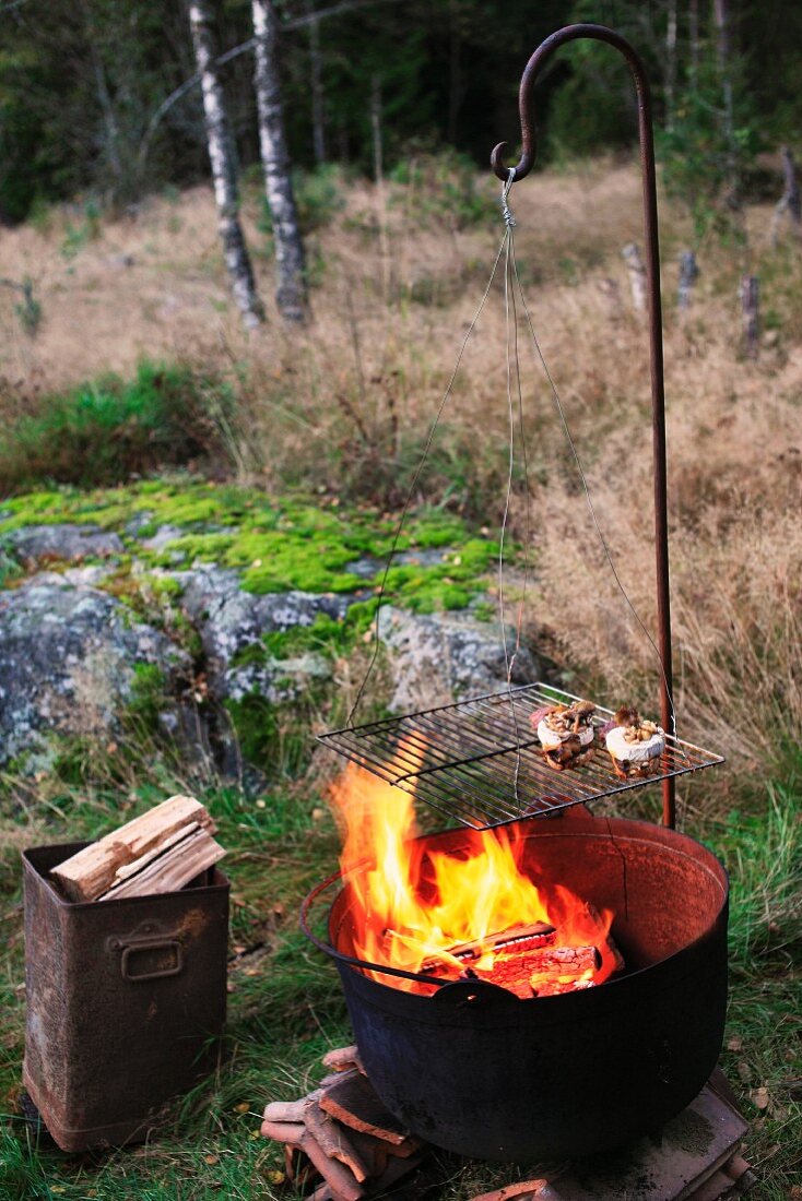 Food on grill over blazing fire in cauldron next to metal can of firewood in woodland clearing