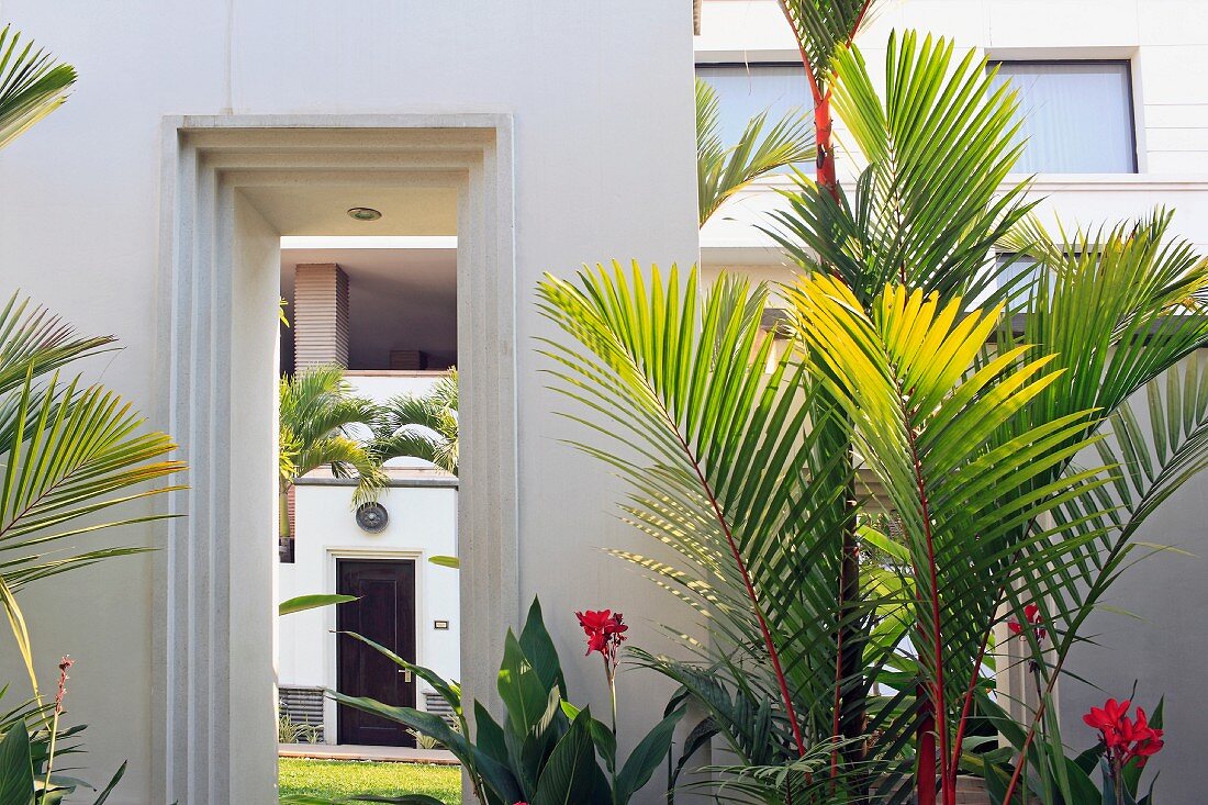 Palm trees and tropical plants flanking open doorway leading to house