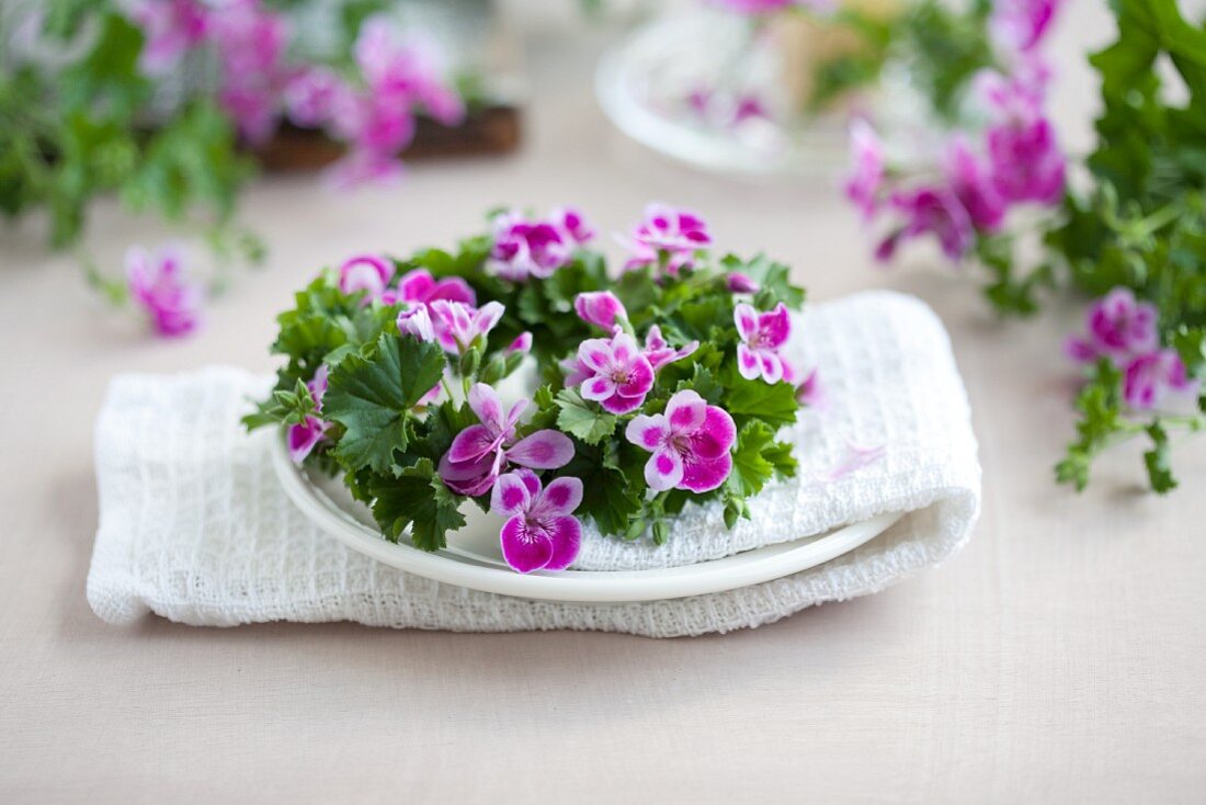 Wreath of scented pelargoniums decorating table