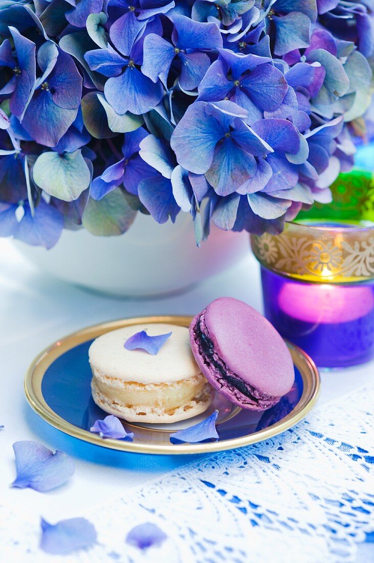 Macarons, blaue Hortensie und Teelicht