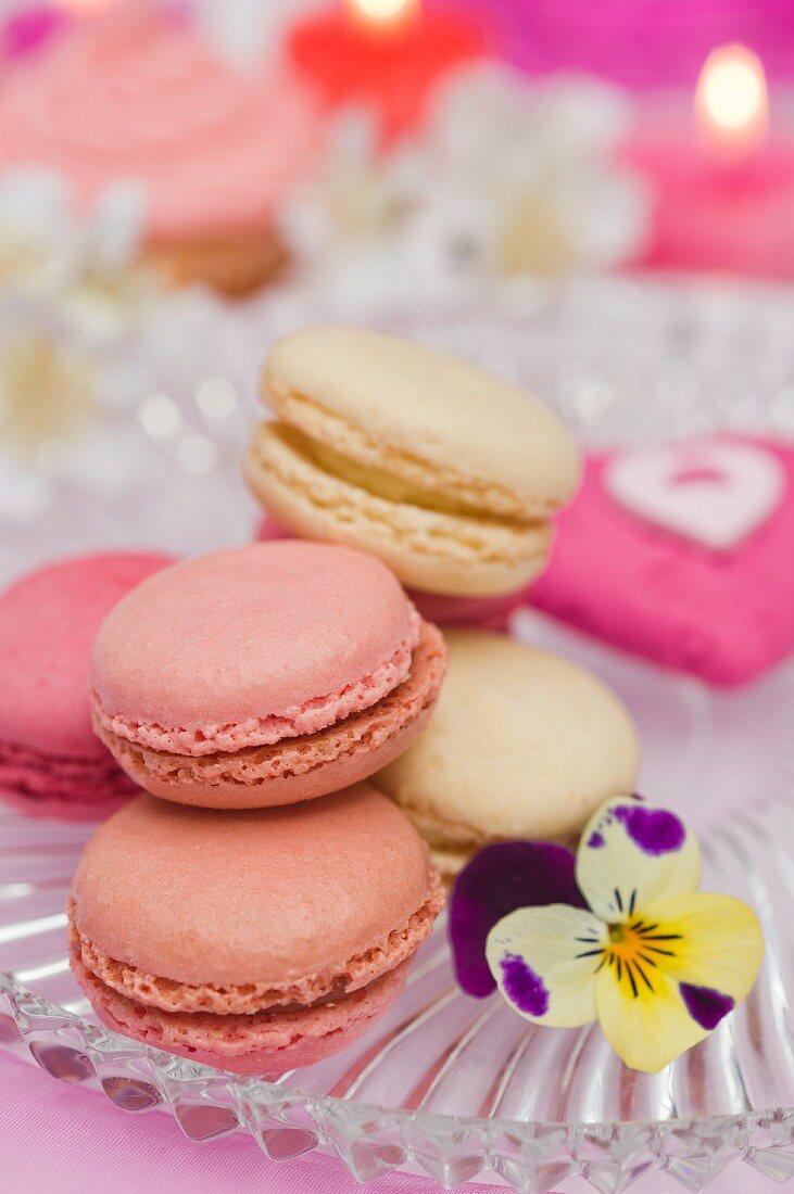 Vanilla, strawberry and raspberry macaroons on a glass plate with a pansy
