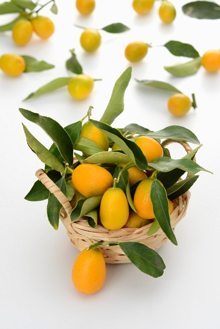 Frische Kumquats in kleinem Körbchen