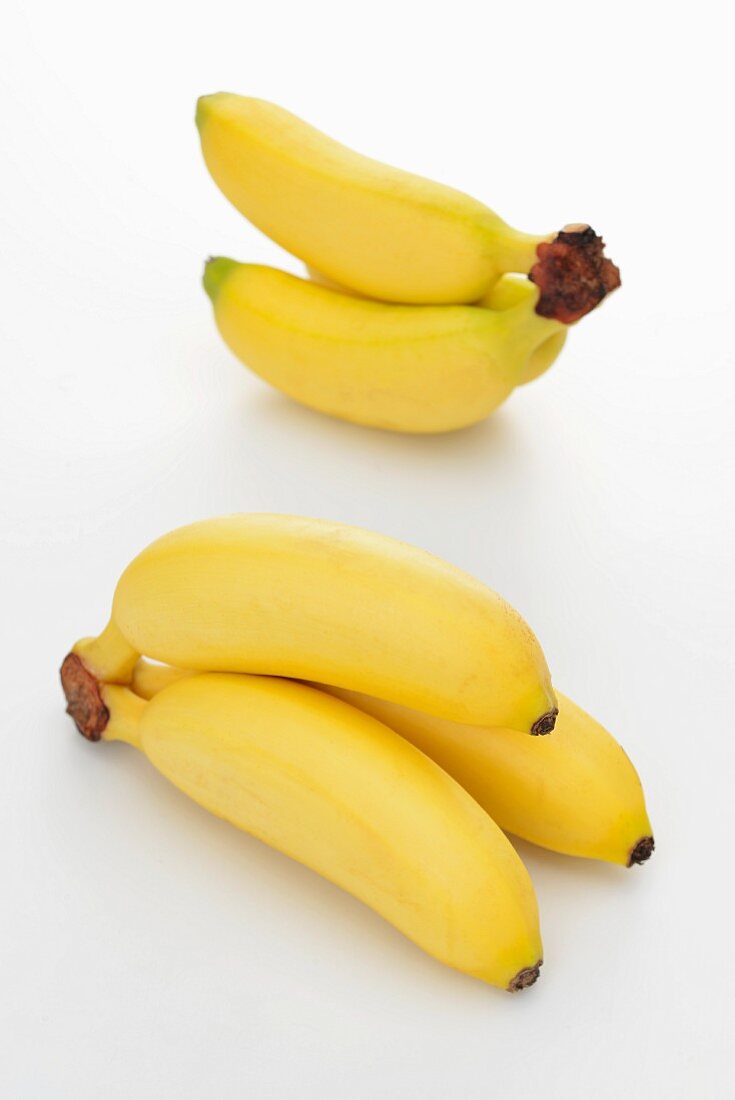 Baby bananas against a white background