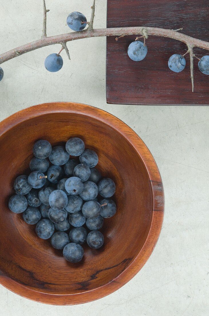 Sloes in a wooden bowl, viewed from above