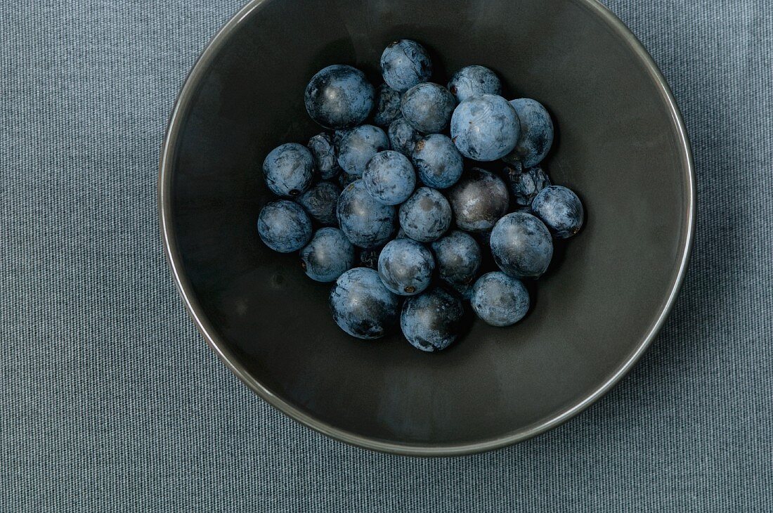 Sloes in a bowl