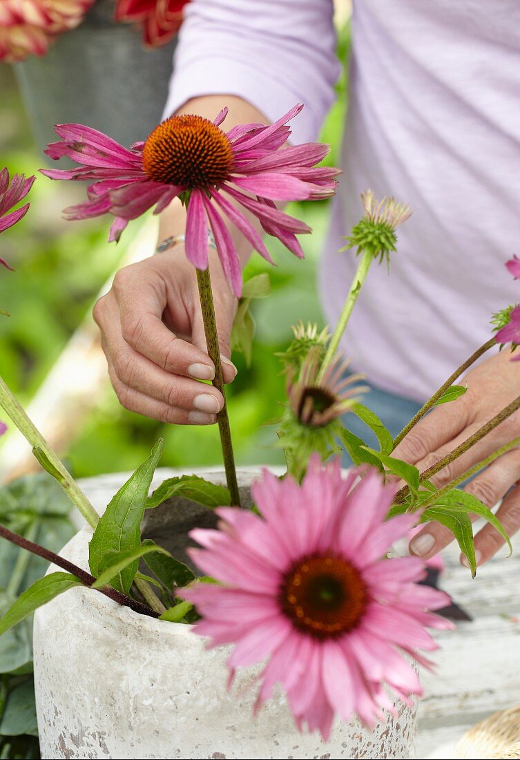 Frau arrangiert einen Sommerstrauss mit Echinacea