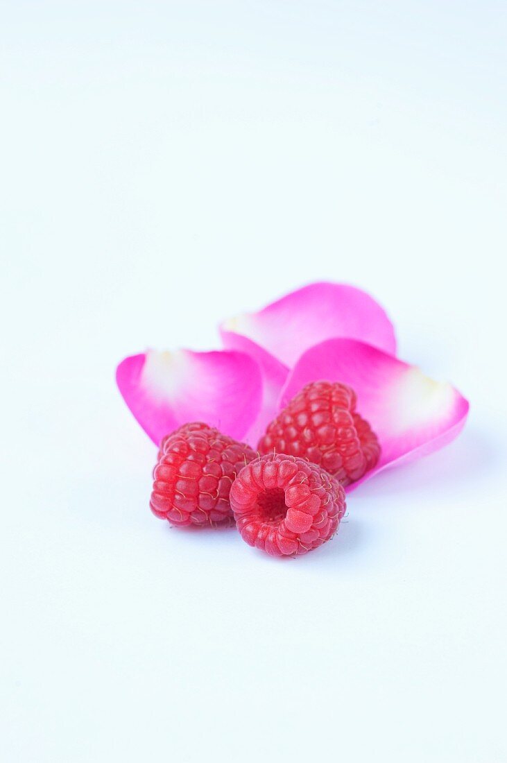 Himbeeren und rosa Rosenblätter