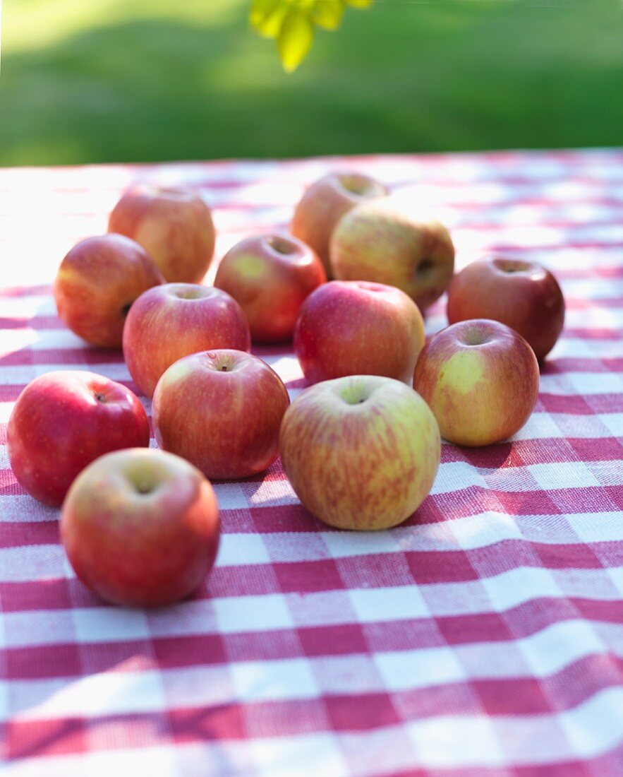 Bio Fuji Äpfel auf Gartentisch mit rot-weiss kariertem Tischtuch