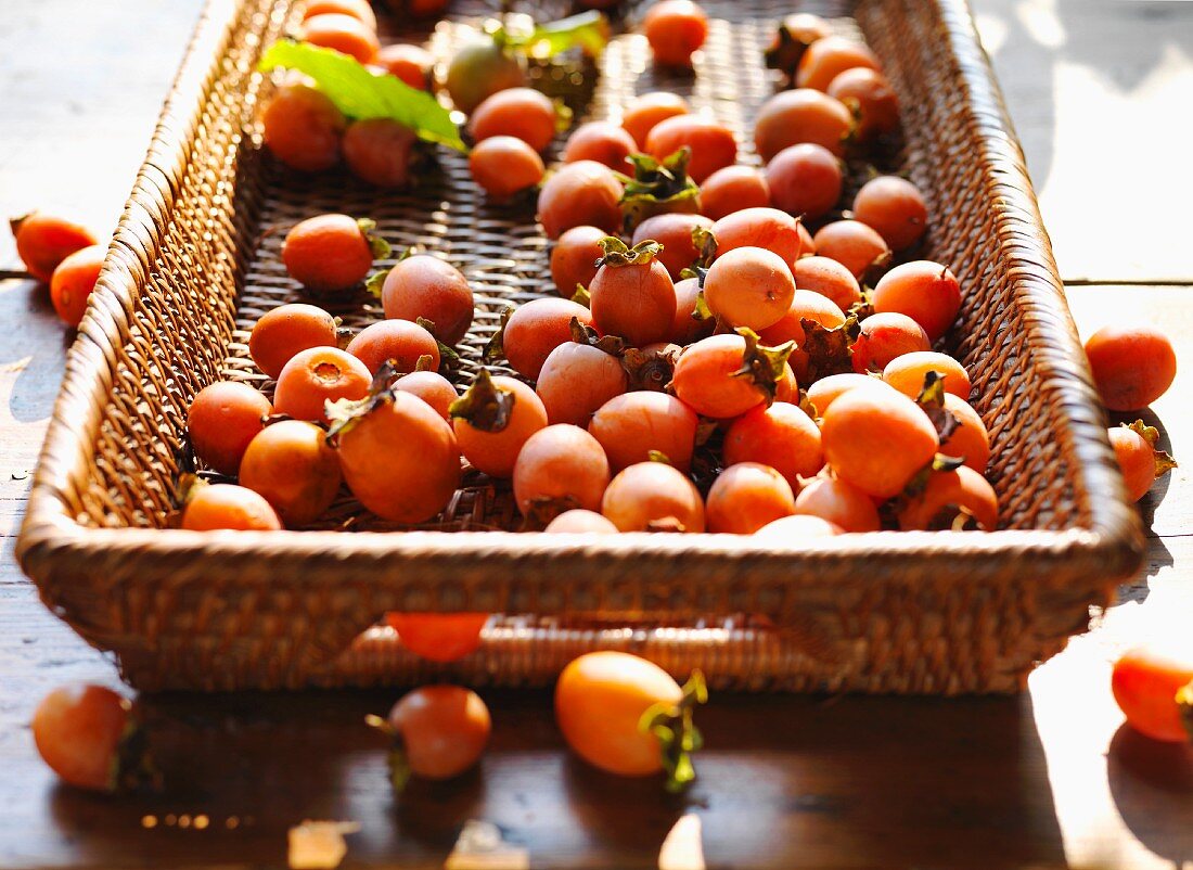 A Basket of Persimmons; Sunny