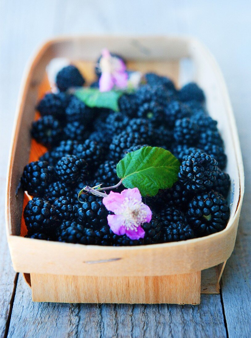 Blackberries with flowers in a punnet