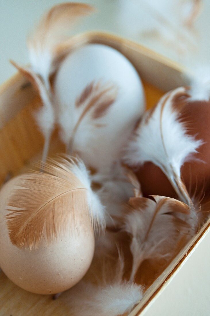 Hen's eggs with feathers in a small basket