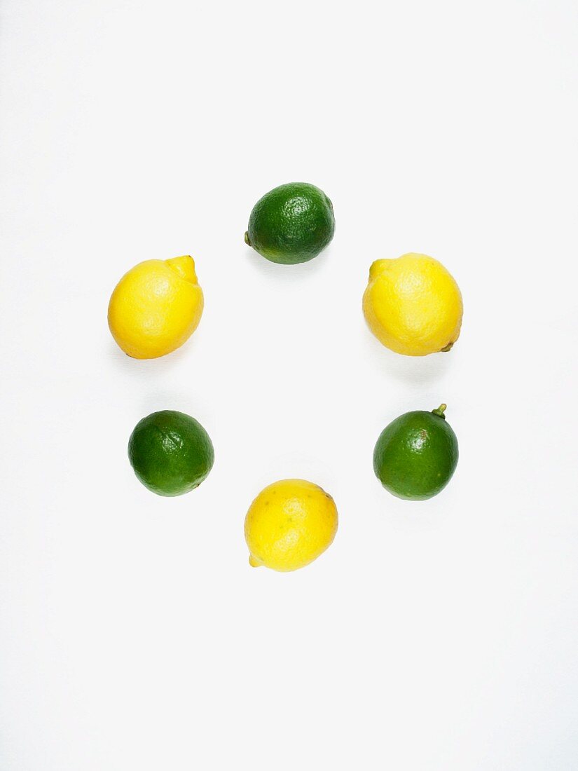 Kreis aus Limetten und Zitronen
