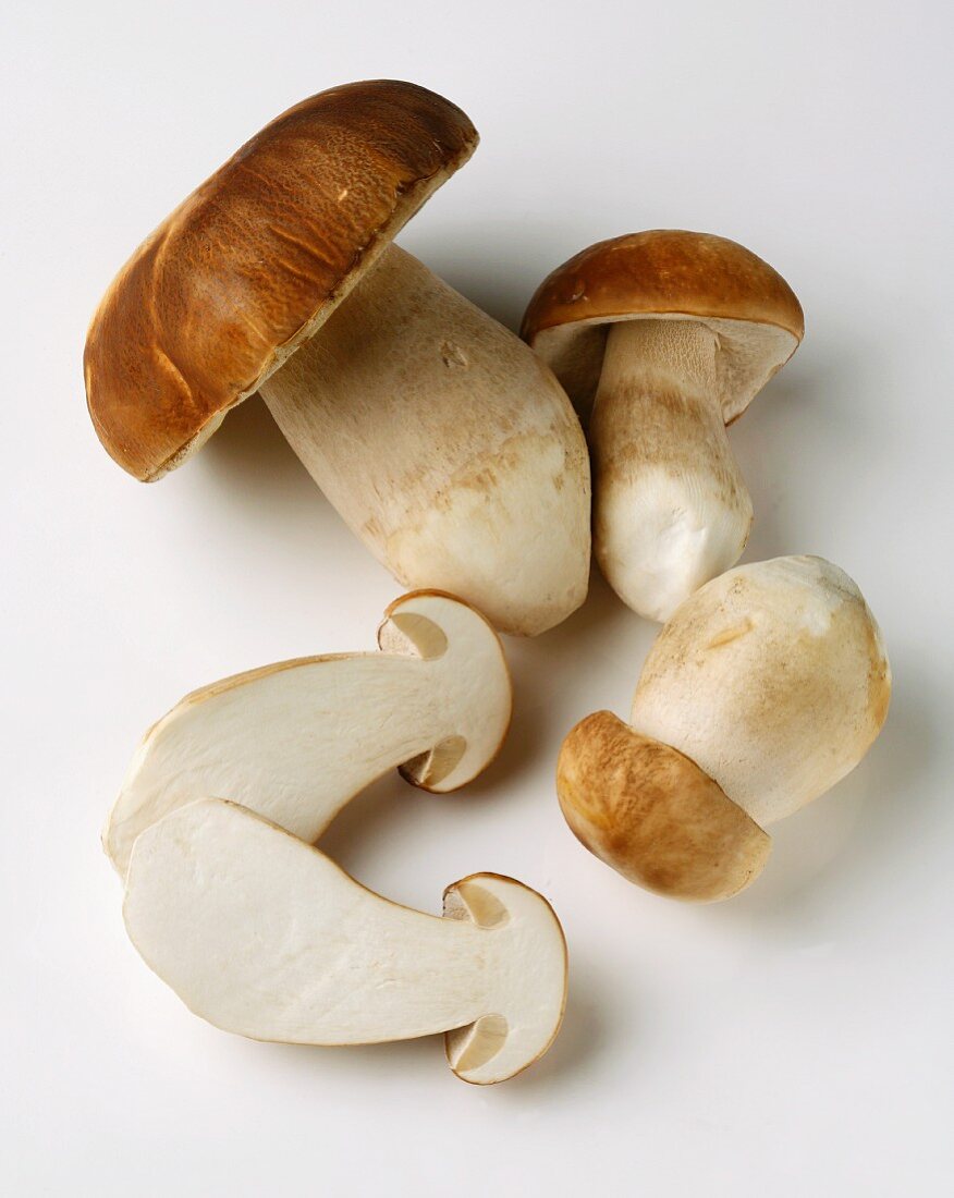 Fresh porcini mushrooms, whole and halved