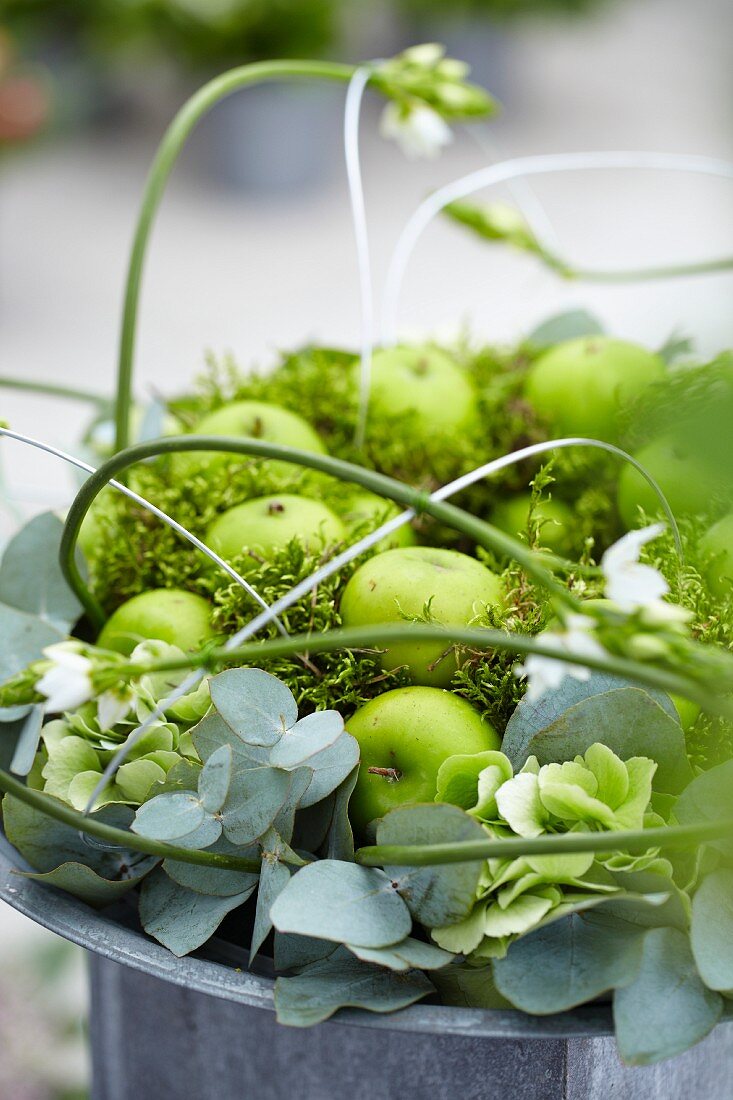 Flower arrangement with green apples, eucalyptus, moss and star of Bethlehem