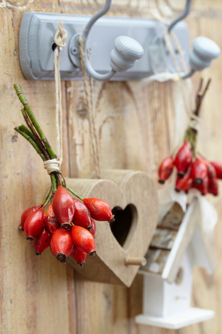 Bunches of rosehips, wooden heart and ornamental bird box hanging on hooks on wooden wall