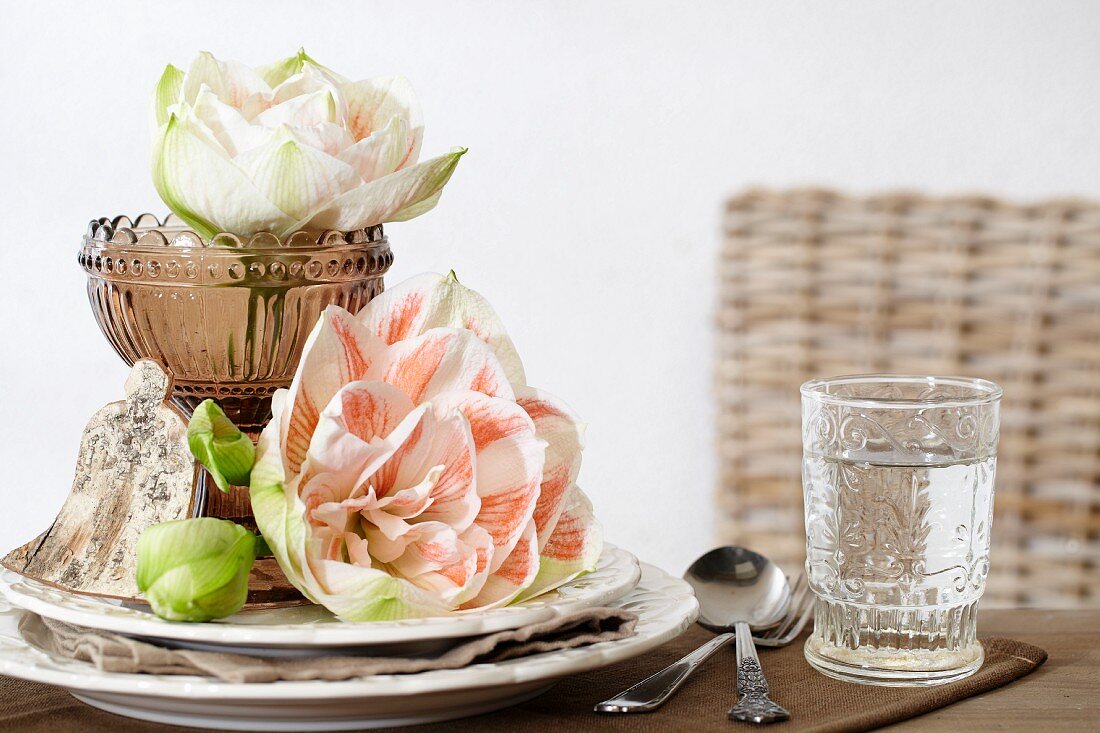 Festive place setting with pink amaryllis blooms