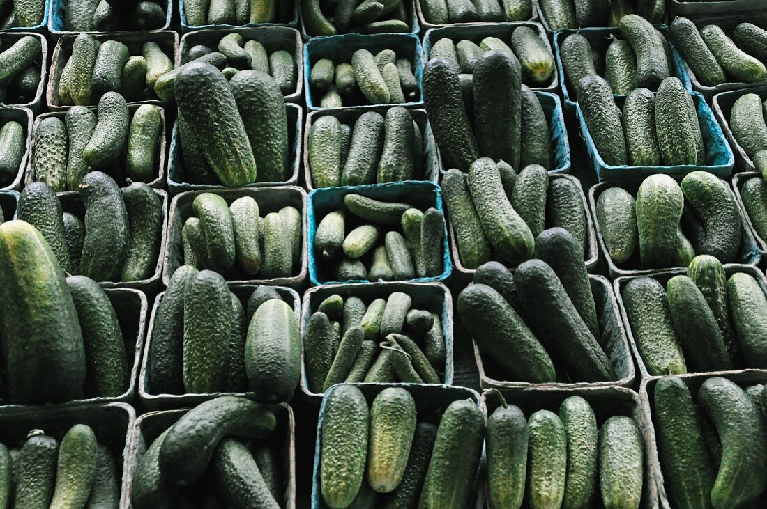 Lots of containers of cucumbers for pickling at a market in Michigan, USA