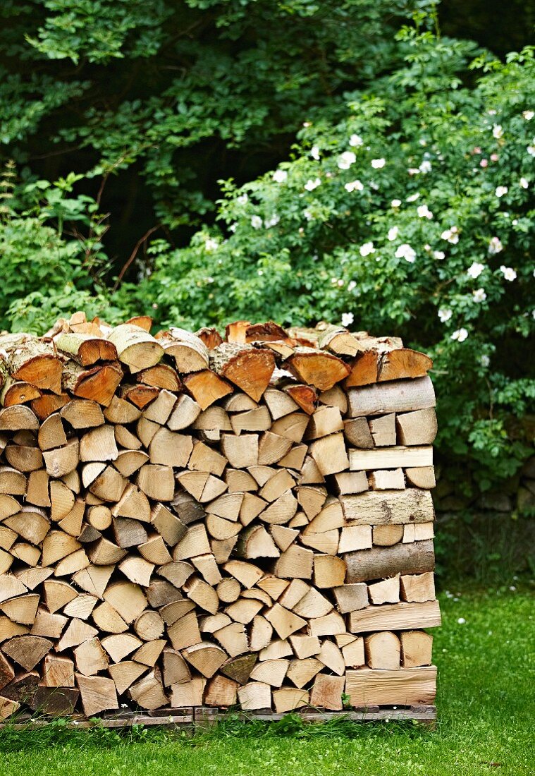 Holzstapel im Garten