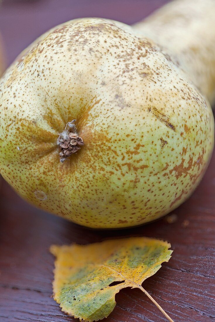 A dessert pear and an autumn leaf
