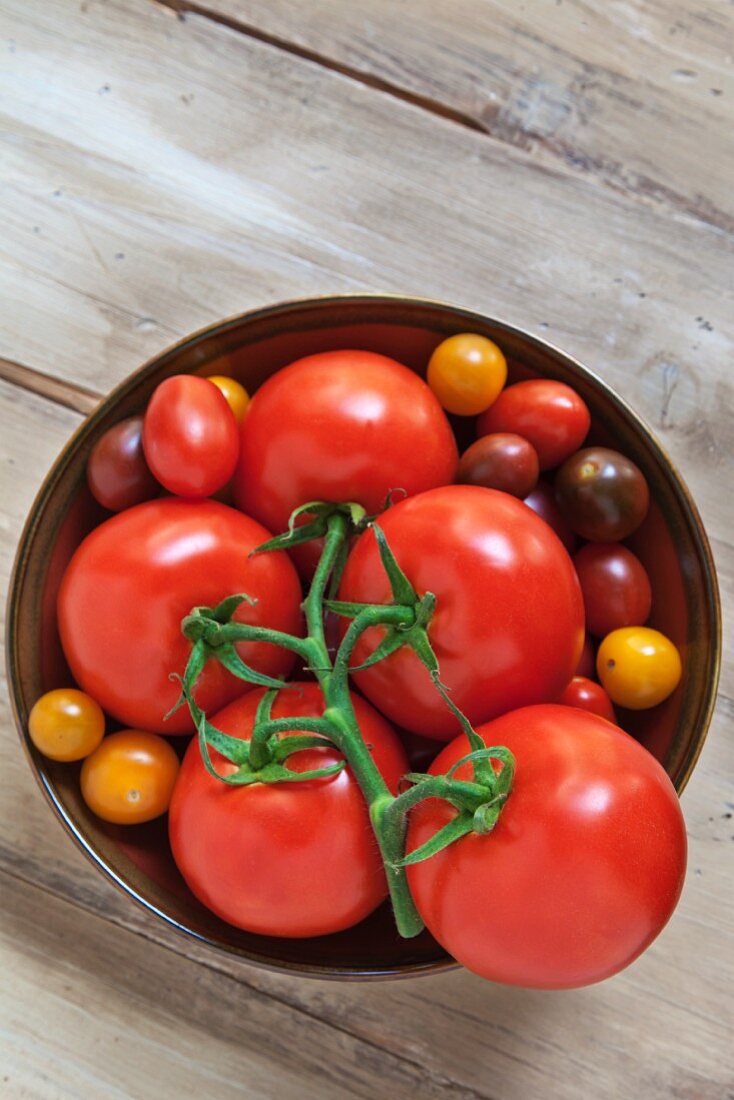 Maine Grown Tomatoes in a Bowl; Black Cherry, Sun Golds, Yellow Pear and Cherry; From Above
