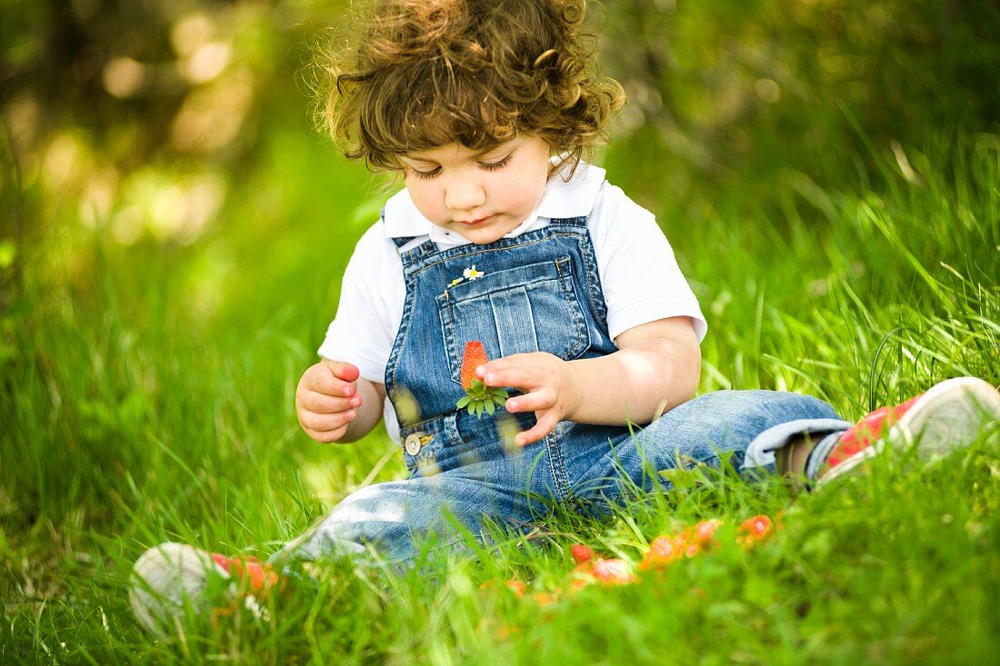 A small boy sitting in a field eating strawberries