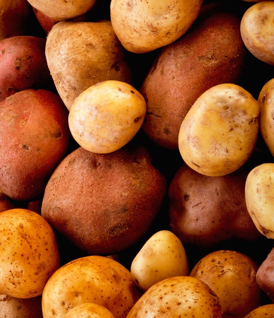 Verschiedene Kartoffelsorten (Nahaufnahme)