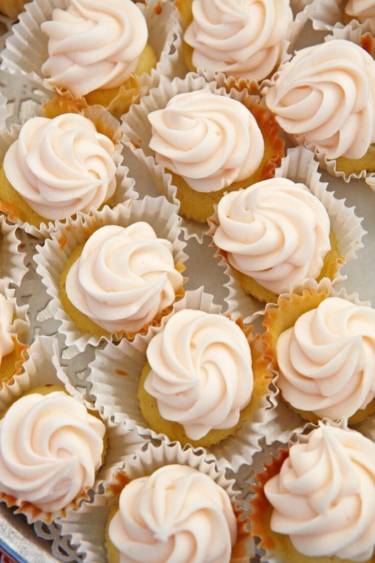 Mini Vanilla Frosted Cupcakes in Paper Liners