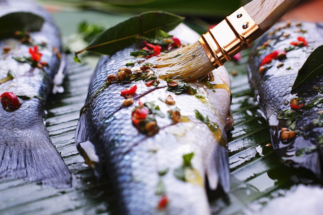 Bass being brushed with oil before grilling