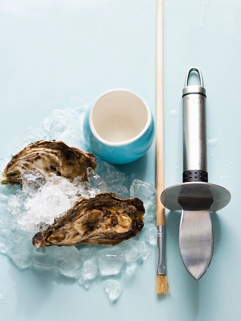 Oysters on ice with a knife, paintbrush and small dish