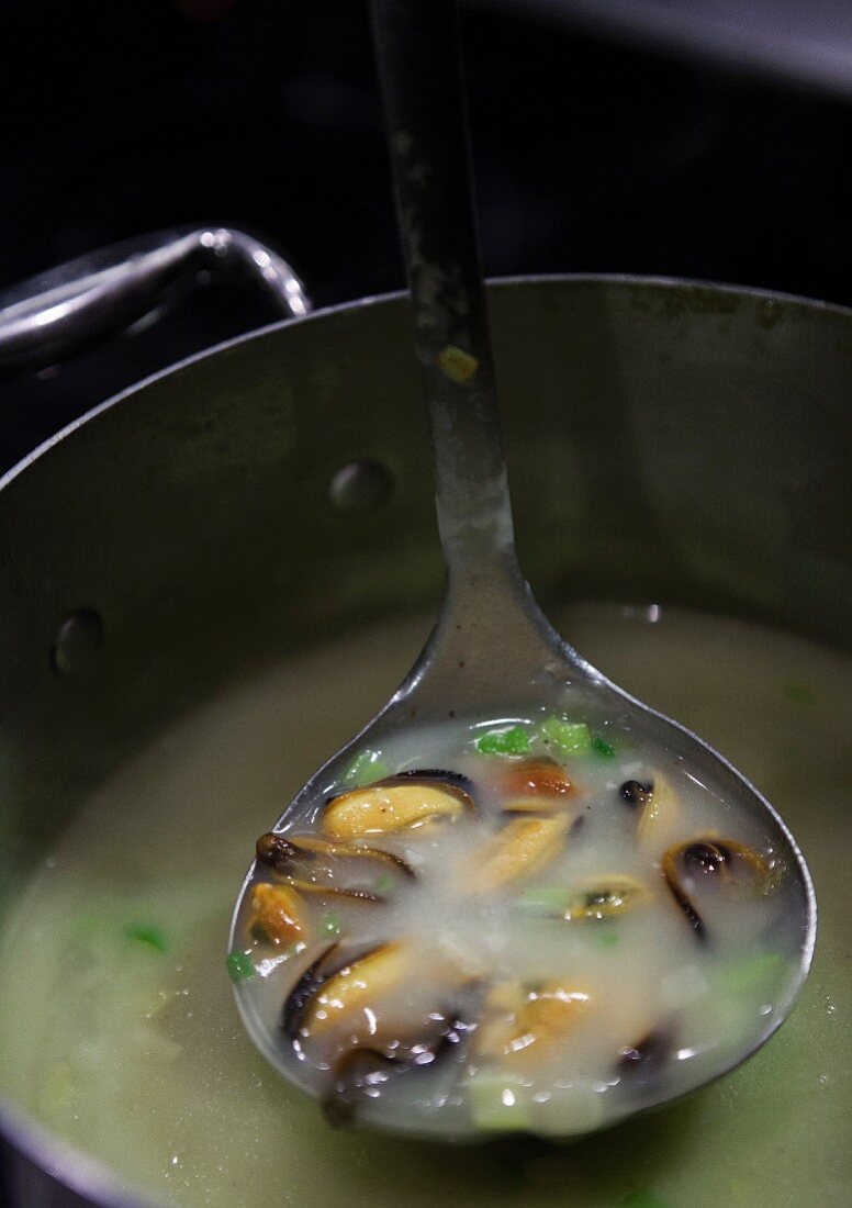 Mussels in Broth in a White Bowl; From Above