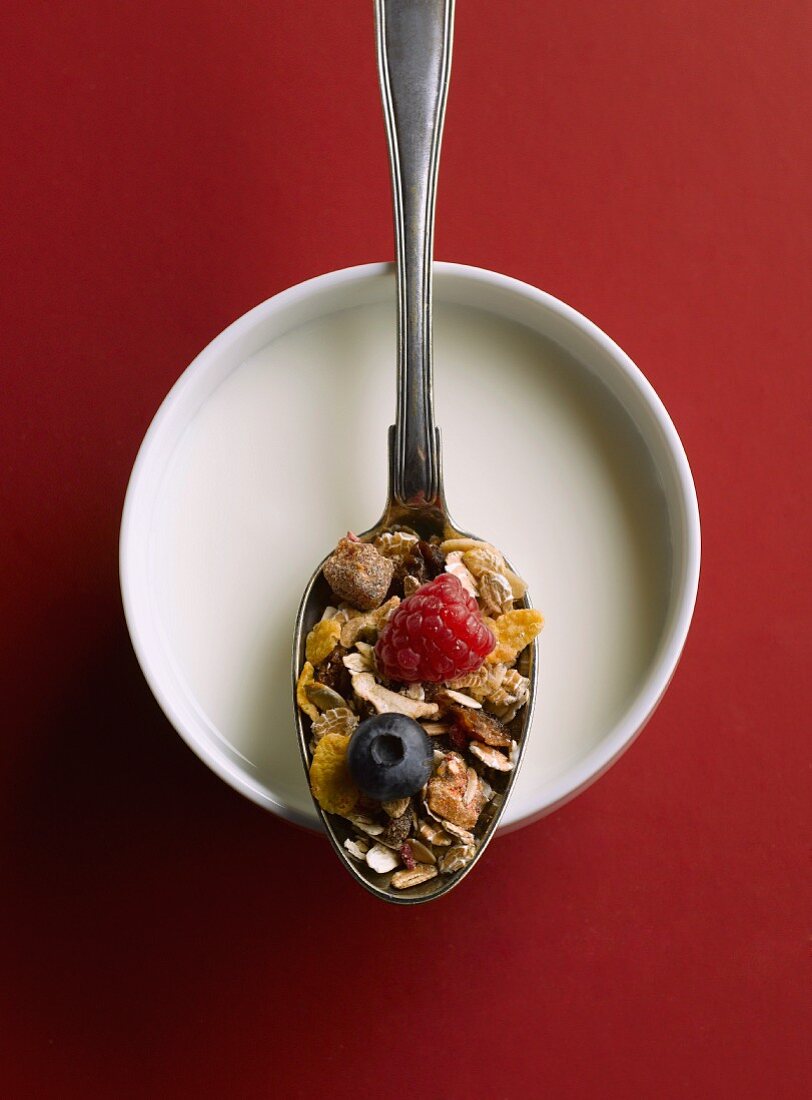 Cereals with berries on a spoon above a bowl of milk