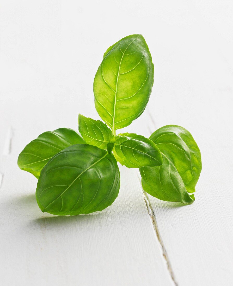 Fresh basil (close-up)