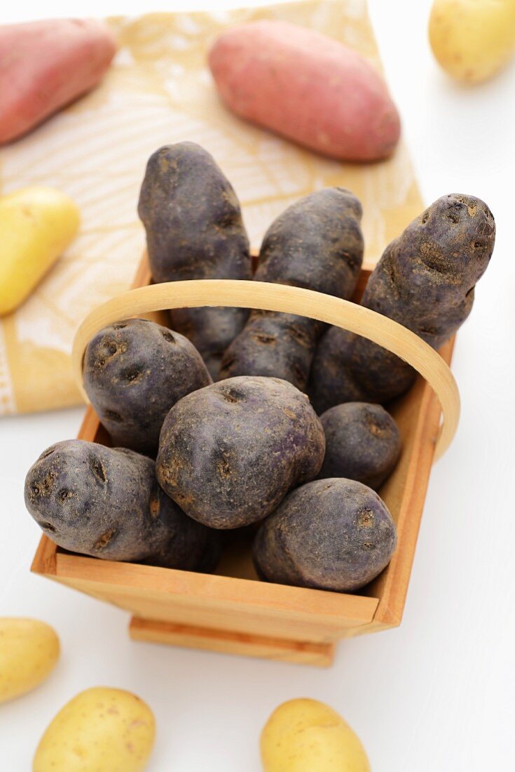Korb mit schwarzen Kartoffeln (Lila Kartoffeln)
