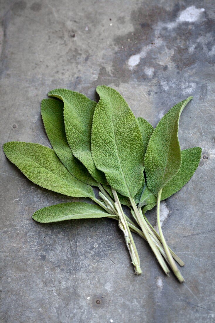 Fresh sage leaves