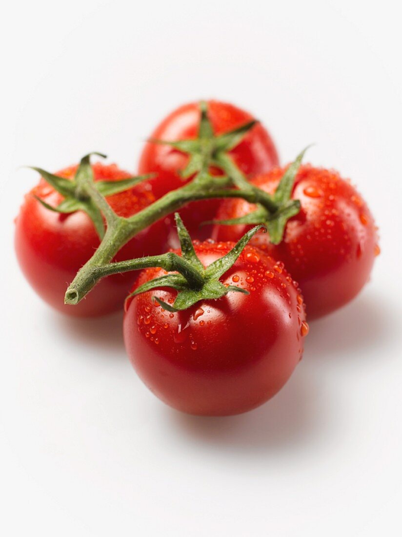 Tomatoes on the vine with drops of water