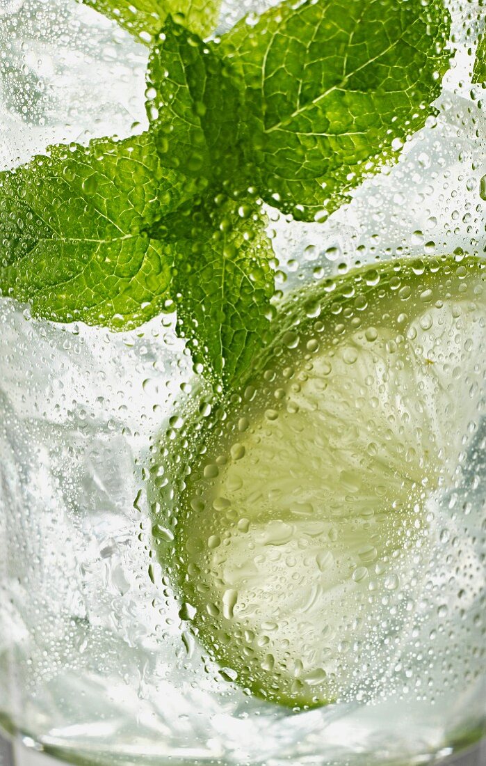 Ein Glas Mojito mit Minze und Limetten (Nahaufnahme)