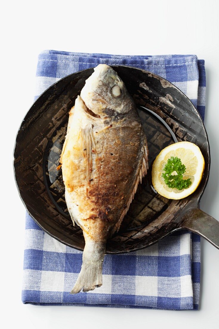 Gilt-head bream in a frying pan on a checked cloth