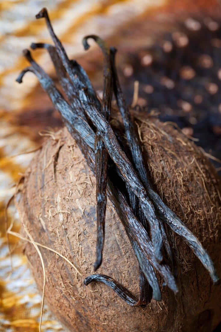 Vanilla pods on top of a coconut