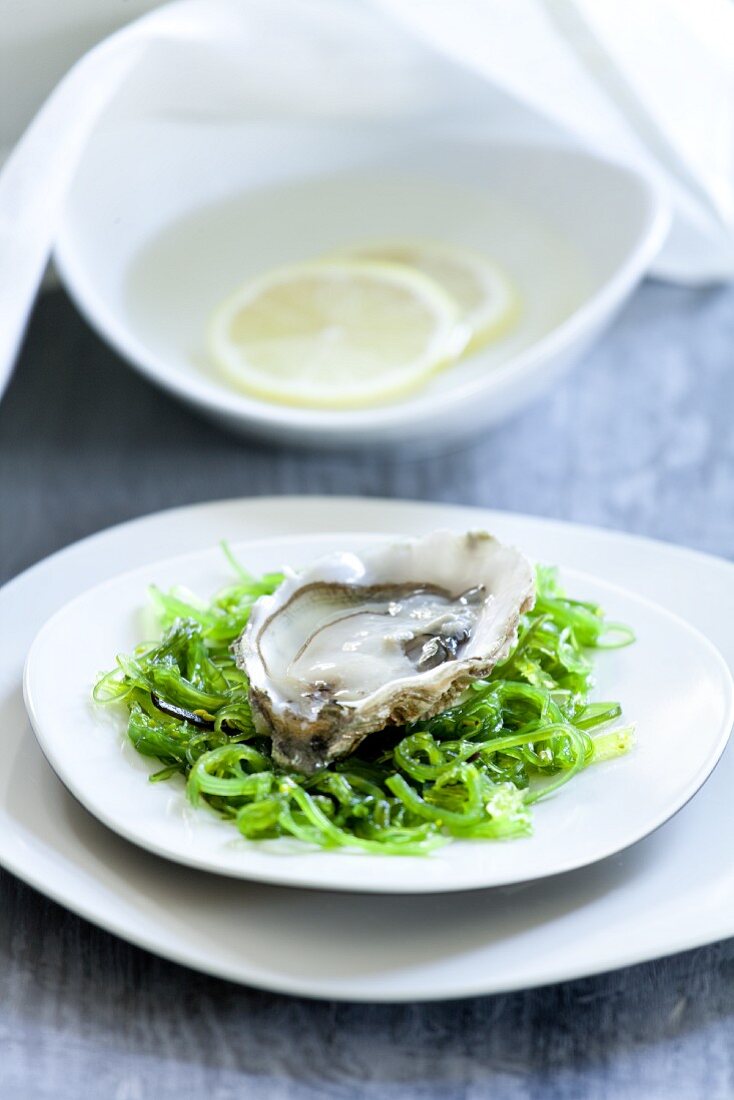 A fresh oyster on algae salad